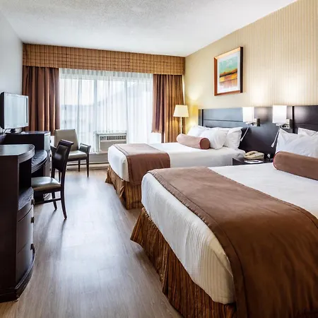 Auberge Royal Versailles-3